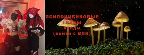экстази Арсеньев