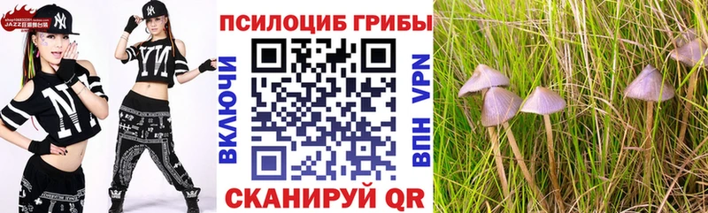 Галлюциногенные грибы GOLDEN TEACHER  купить наркоту  Цивильск 