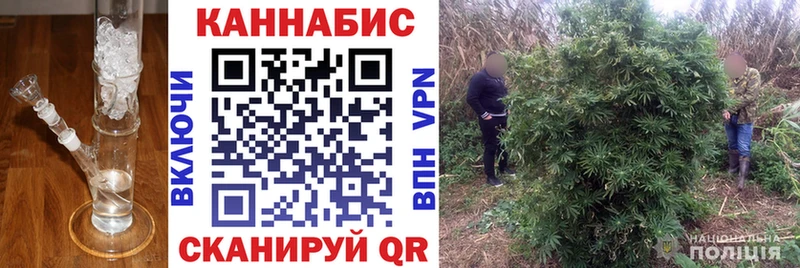 omg   Цивильск  Каннабис тримм 